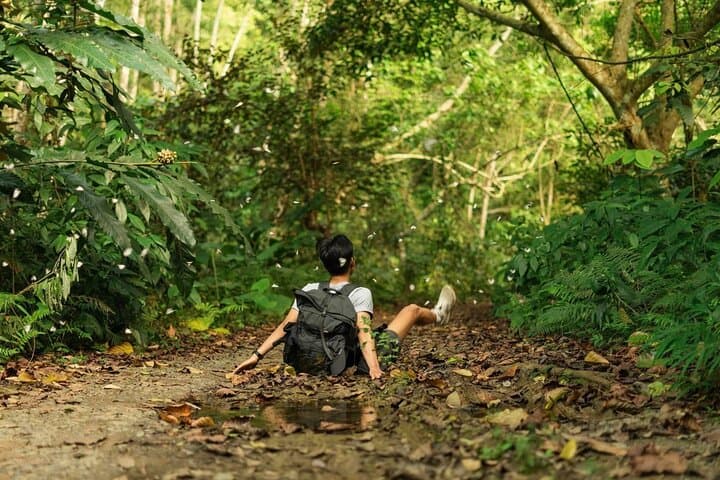 Full-Day Trekking Cat Ba National Park & Viet Hai Village — From Cat Ba Town photo 6