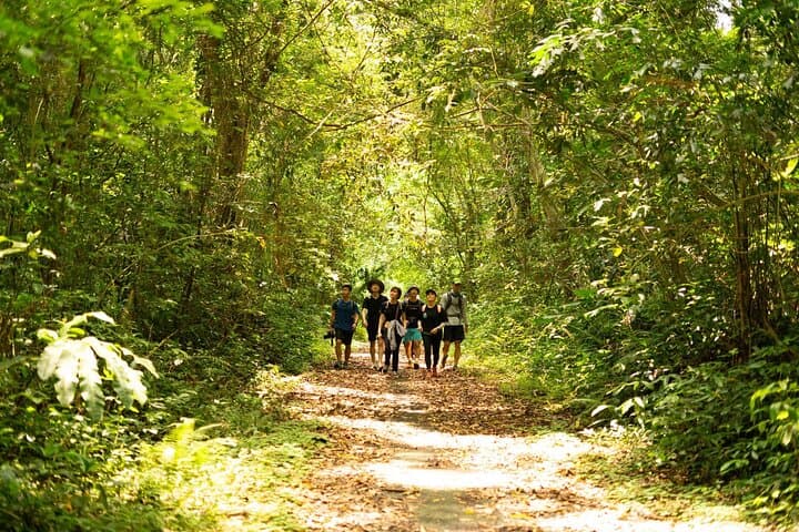 Cat Ba National Park: 1-Day Trekking and Biking from Cat Ba Town photo 5