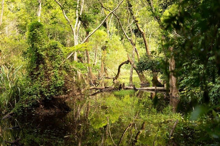 Full-Day Cat Ba National Park Trek: Viet Hai Village, Frog Pond & Lan Ha Bay photo 1