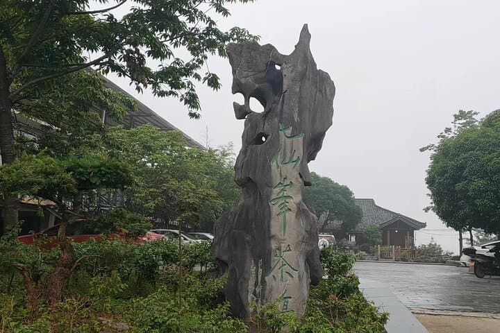 Qixianfeng Tea Plantation Tour in Yangshuo — Tea Picking, Processing & Tasting photo 2