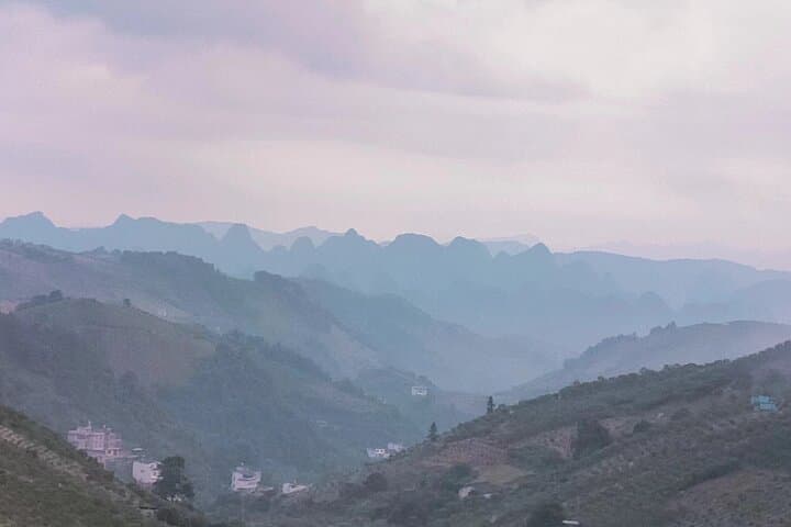 Qixianfeng Tea Plantation Tour in Yangshuo — Tea Picking, Processing & Tasting photo 6