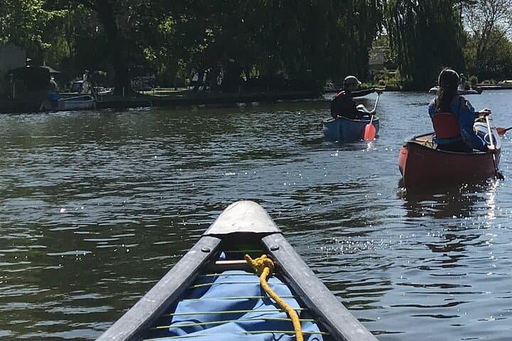 Paddle the Dart: Guided Canoe Tour from Totnes photo 6