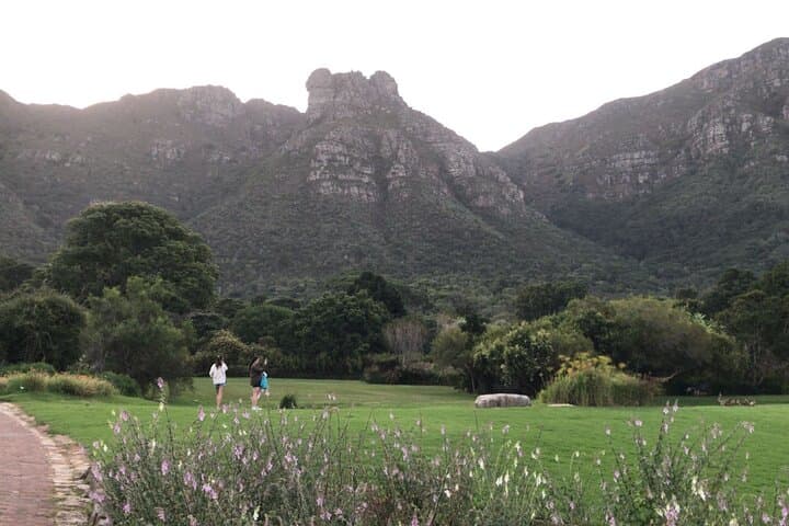 Cape Town Private Adventure: Table Mountain Cable Car, Kirstenbosch & Constantia Wine photo 5