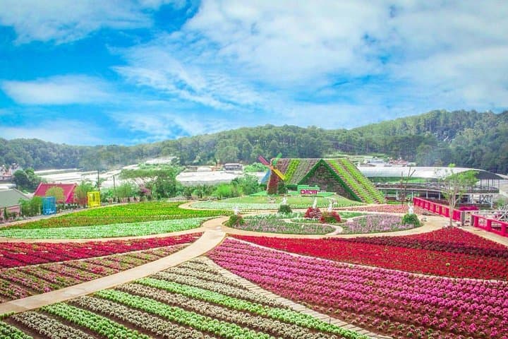 Da Lat Countryside Tour: Elephant Falls, Silk Village & Coffee Plantations photo 4