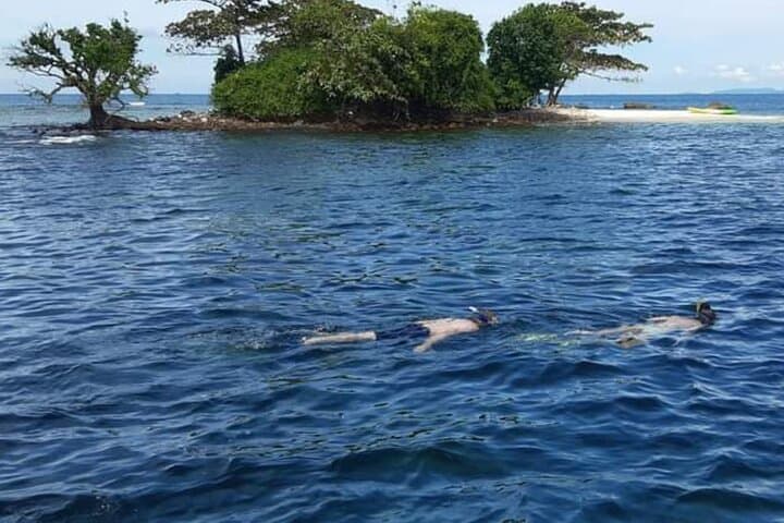 Phu Quoc Pro-Guided Coral Reef Diving Tour — Full-Day Scuba from Duong Dong photo 4