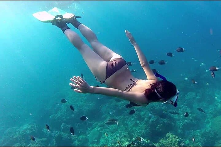 Phu Quoc Pro-Guided Coral Reef Diving Tour — Full-Day Scuba from Duong Dong