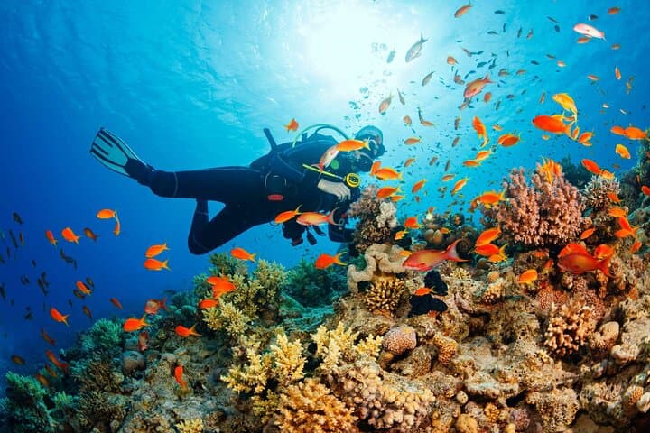 Phu Quoc Ocean Explorer: 8-Hour Fishing Trip from An Thoi photo 6