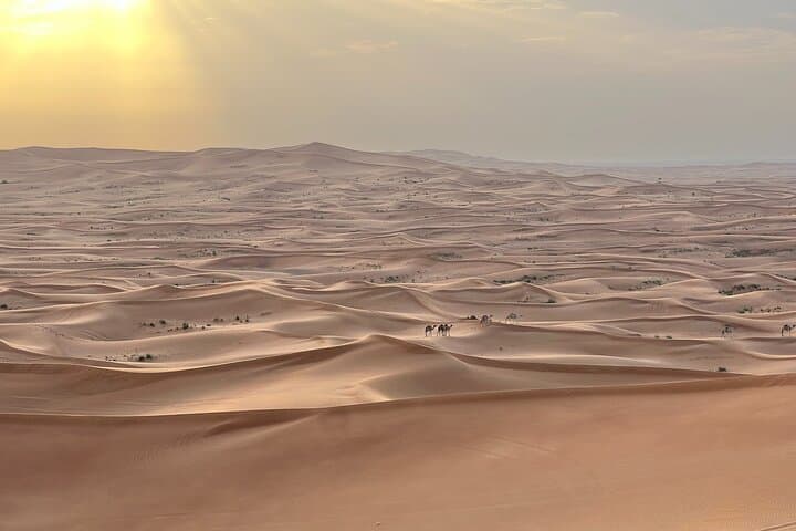 Dubai Red Dune Safari: Private 4x4, Camel Ride & BBQ Under the Desert Sky photo 5