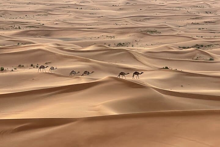 Dubai Red Dune Safari: Private 4x4, Camel Ride & BBQ Under the Desert Sky photo 6