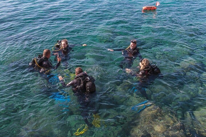 Intro SCUBA Dive in Dubrovnik: Shore Dive into the South Adriatic photo 4
