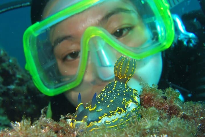 Intro SCUBA Dive in Dubrovnik: Shore Dive into the South Adriatic photo 3