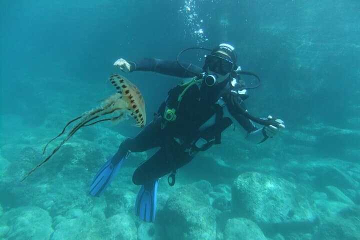 Intro SCUBA Dive in Dubrovnik: Shore Dive into the South Adriatic photo 5
