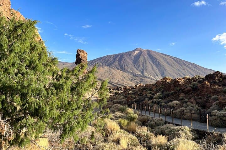 Tenerife Grand Tour: Teide National Park, Masca & Garachico Day Trip photo 2