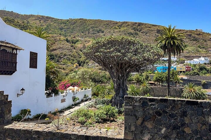 Tenerife Grand Tour: Teide National Park, Masca & Garachico Day Trip photo 4