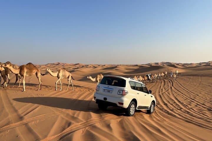 Dubai Red Dunes Evening Safari: Dune Bashing, Camel Rides & Bedouin Camp Experience