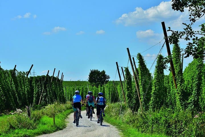 Classic Hallertau Bicycle Tour: 8-Day Hops-Country Cycling Route