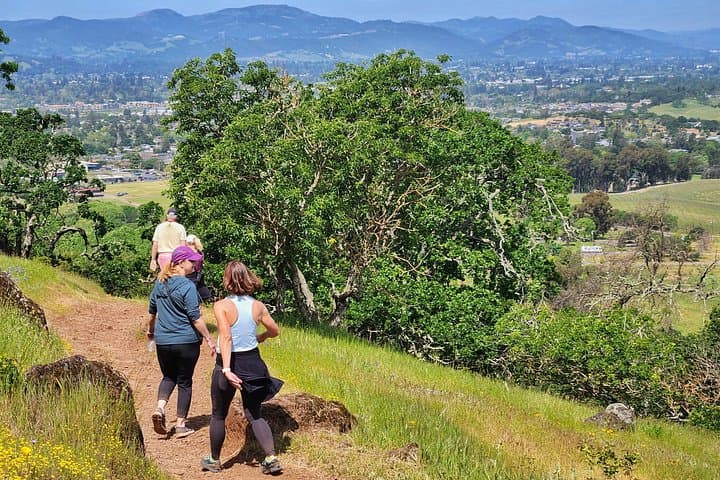 Napa Valley Redwood Hike — 3.25-Mile Guided Walk Through the Mayacamas Redwoods photo 4