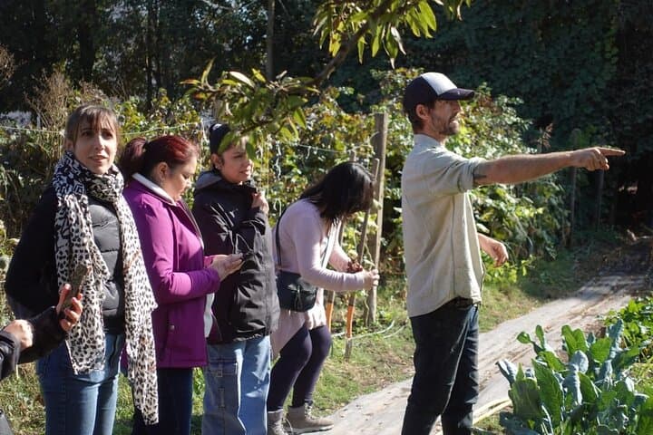 Maipo Valley Regenerative Farm & Sommelier Tour: Farm-to-Glass Wine Tasting