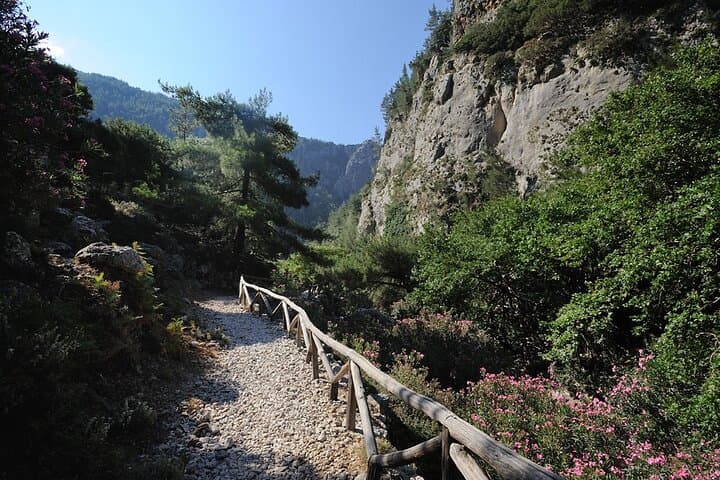 Agia Irini Gorge & Sougia Beach: Private Hike and Coastal Escape in Crete photo 2