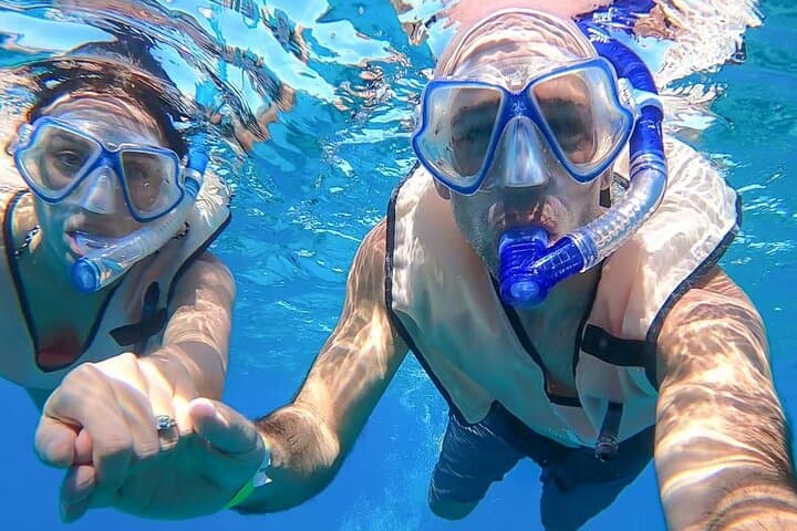 Private Key West Snorkel Charter: Reefs, Wrecks & Sandbar Stops photo 4