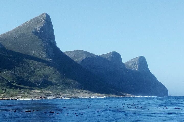 Cape Point to Stellenbosch: Private Cape Town Tour with Penguins, Chapman's Peak & Wine Tasting photo 3
