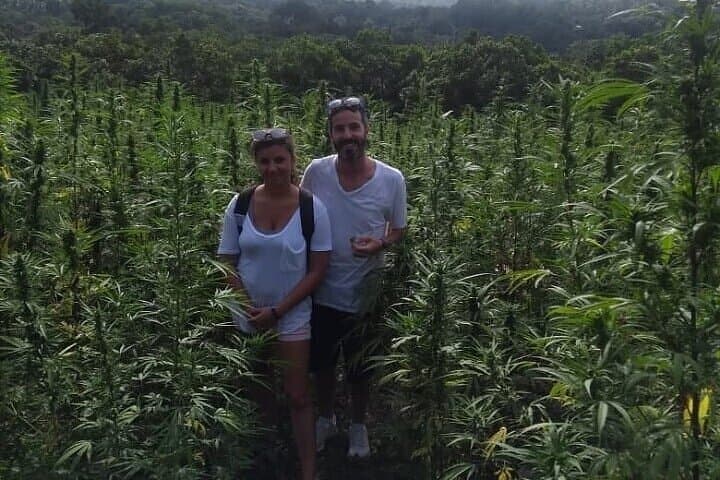 Montego Bay Cannabis Farm Tour & Farm-to-Table Lunch — Private Dispensary Experience photo 4