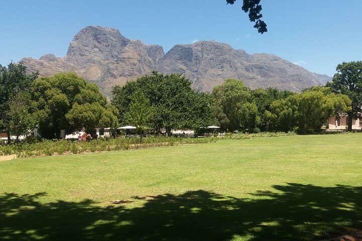 Cape Point to Stellenbosch: Private Cape Town Tour with Penguins, Chapman's Peak & Wine Tasting photo 5