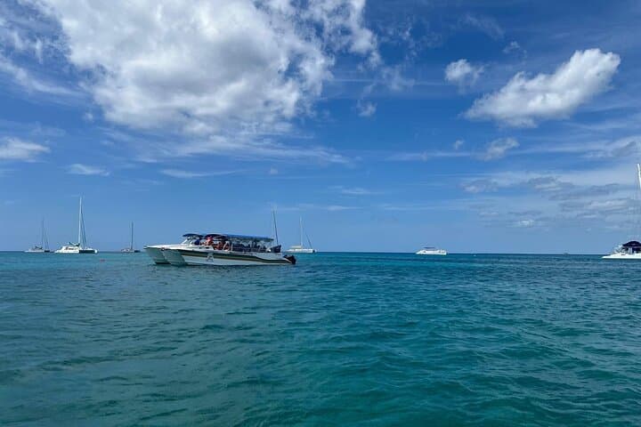 Saona Island Catamaran & Speedboat Day Trip from Punta Cana photo 4