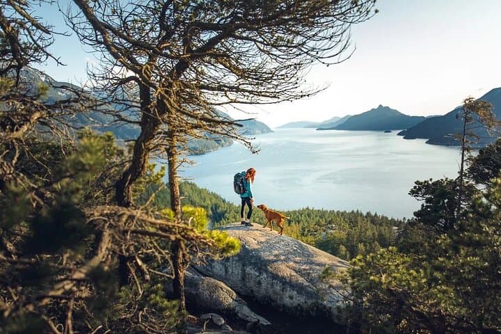 Sea-to-Sky Waterfalls & Quercus Point Private Day Tour from Vancouver