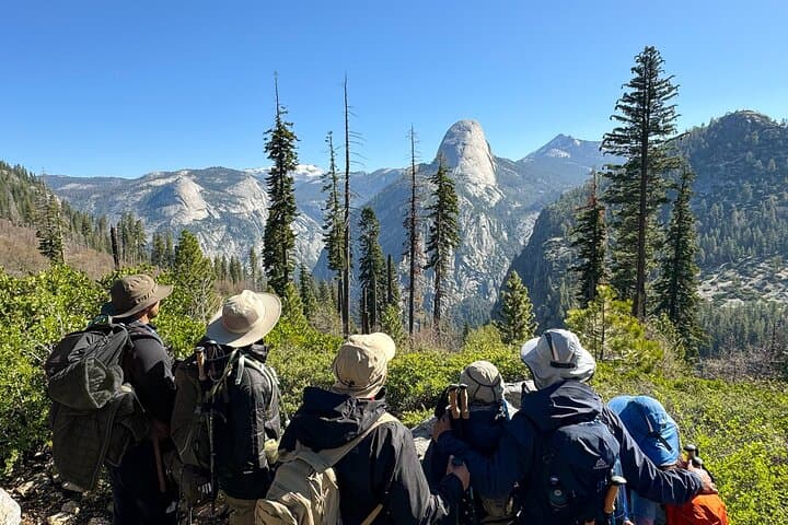 Yosemite Team-Building Adventure Hike: Full-Day Guided Challenge photo 4