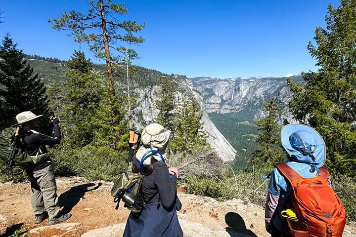 Yosemite Team-Building Adventure Hike: Full-Day Guided Challenge photo 5