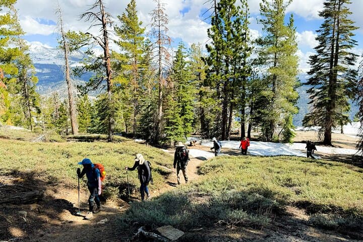 Yosemite Team-Building Adventure Hike: Full-Day Guided Challenge photo 6