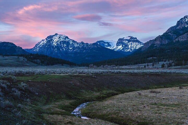 Master Wildlife Photography on a Full-Day Guided Tour in Yellowstone National Park photo 2
