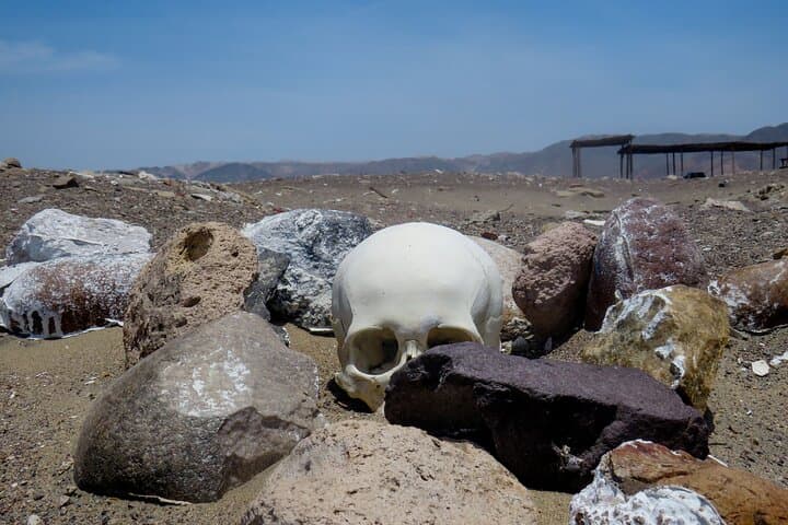 Explore Chauchilla Cemetery: Nazca Mummies and Traditional Pottery Workshop photo 2