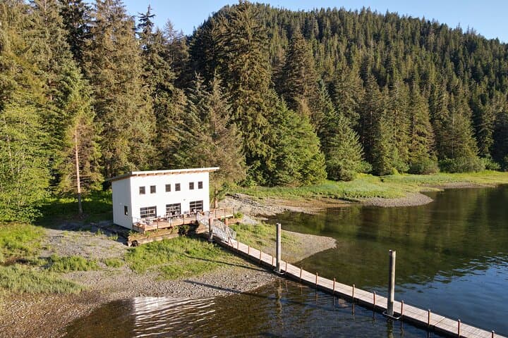 Sitka Wildlife Cruise and Silver Bay Homestead Discovery photo 6
