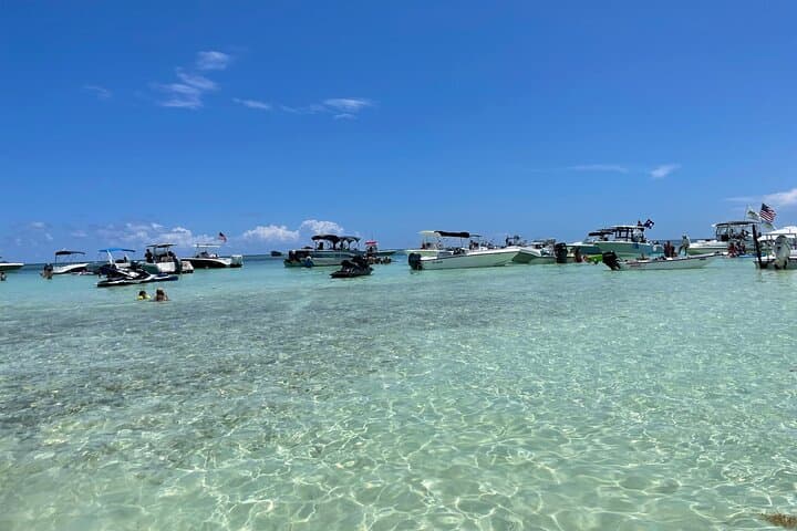 Key Largo Sandbar Excursion: Relax on White-Sand Flats & Glide Crystal Waters photo 4
