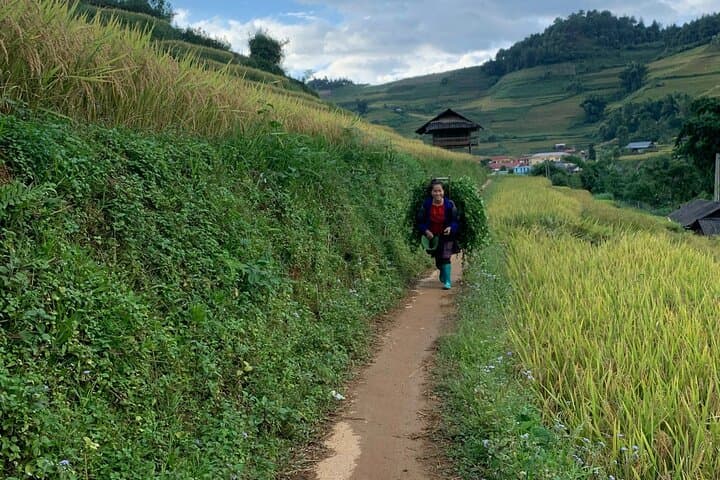 Mai Chau One-Day Private Excursion: Rice Paddies, Thai Stilt Villages & Trek from Hanoi photo 3