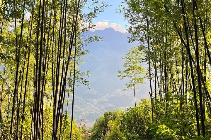 Mai Chau One-Day Private Excursion: Rice Paddies, Thai Stilt Villages & Trek from Hanoi photo 4