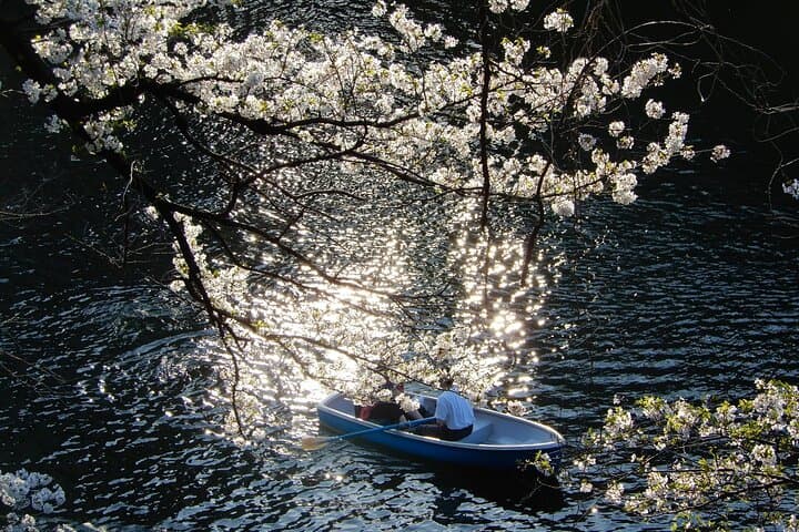 Imperial Palace Walking Tour: History, Art & Green Spaces in Central Tokyo photo 5