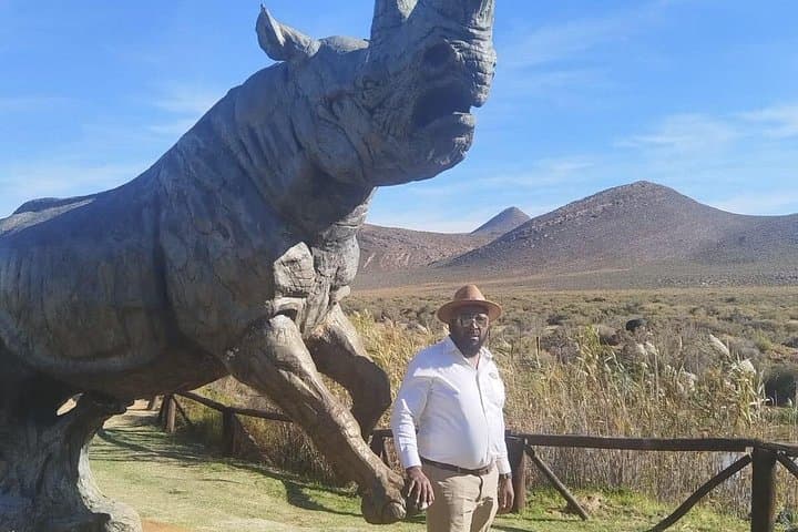 Aquila Reserve Safari: Cape Town Day Trip with Wine Tasting and Game Drive photo 4
