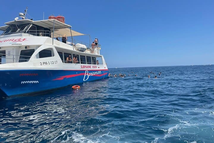 Gandía Catamaran Paella & Swim Cruise — 2-Hour Mediterranean Experience photo 4