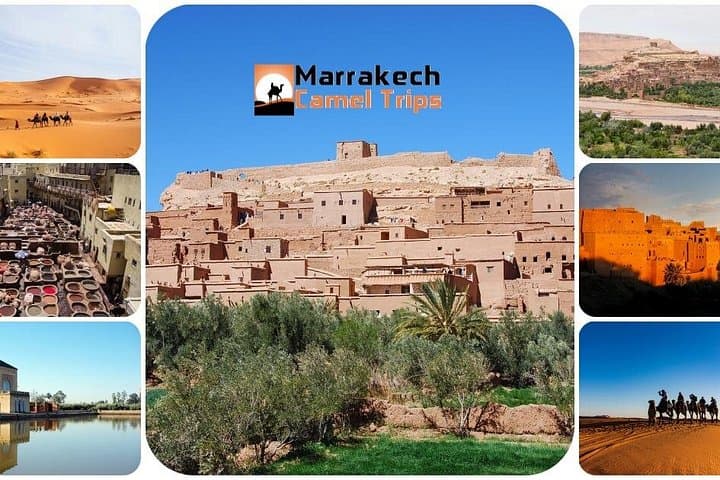 Marrakech to Fes: 4-Day Sahara & Atlas Mountains Tour photo 1