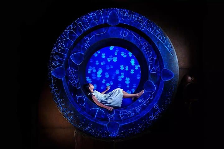 Lost Chambers Aquarium Dubai: Explore the Lost World at Atlantis The Palm photo 3