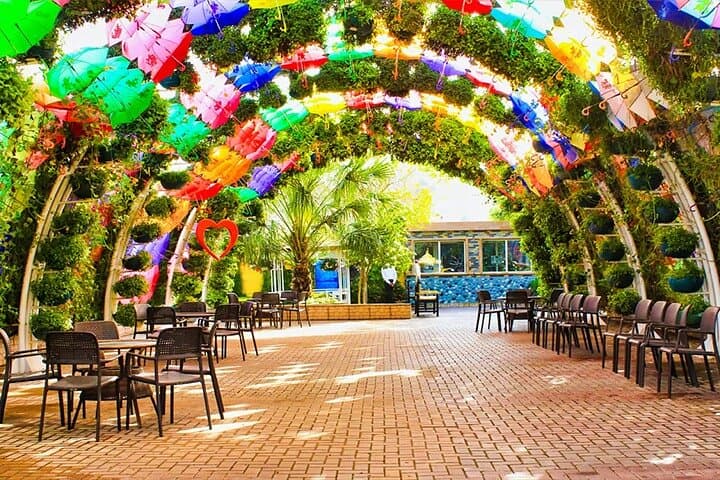 Explore Dubai Butterfly Garden: Skip-the-Line Access to 15,000 Butterflies photo 4