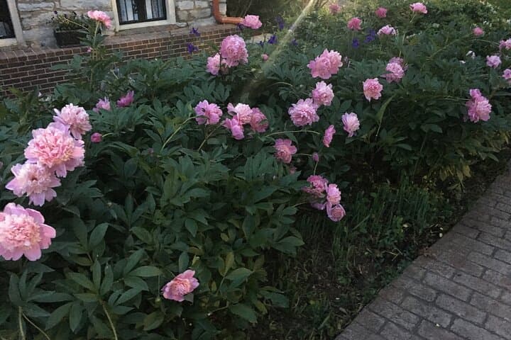Riverview at Hobson Grove: Guided Historic Home Tour in Bowling Green photo 6