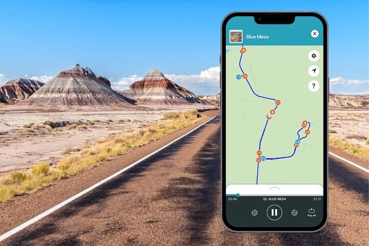 Petrified Forest National Park Self-Guided Audio Driving Tour photo 2