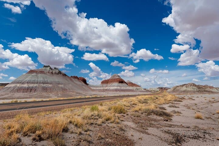 Petrified Forest National Park Self-Guided Audio Driving Tour photo 6