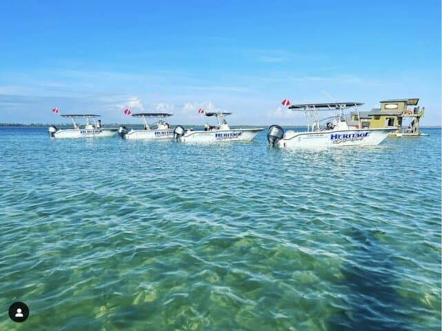 Private Dolphin & Snorkel Cruise — 2-Hour Panama City Beach Adventure photo 3