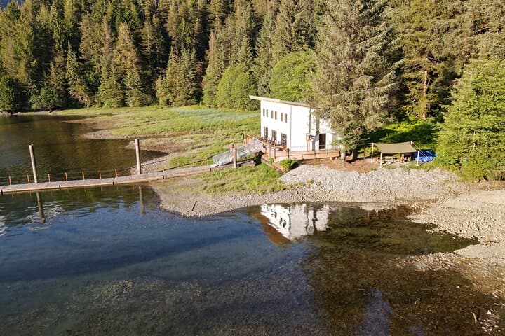 Explore Alaska's Wild Heart: Bears, Fjords, and Frontier Life at Silver Bay photo 5