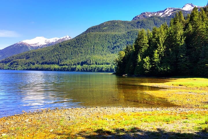 Explore Alaska's Wild Heart: Bears, Fjords, and Frontier Life at Silver Bay photo 3